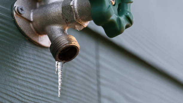 Best Residential Plumbing Services  in Rice Lake, WI