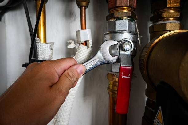 Best Clogged Drain Plumber  in Rice Lake, WI